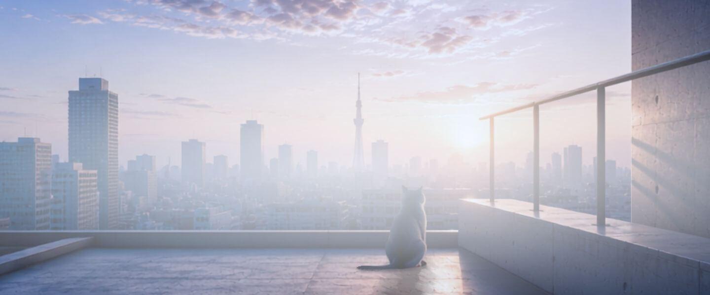 Main Visual
